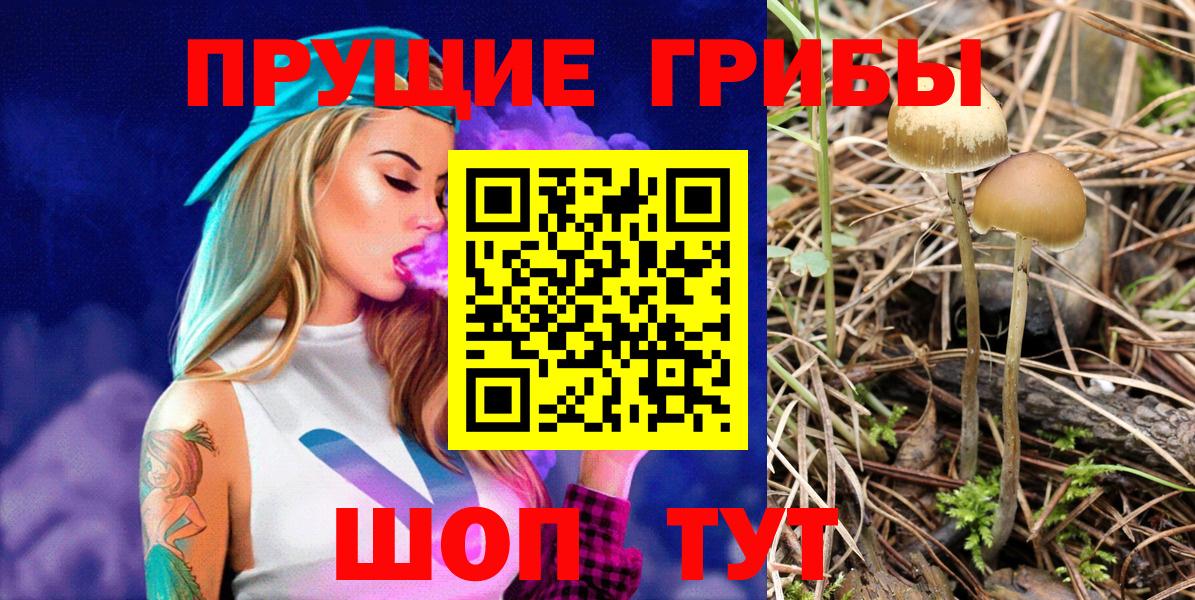 Галлюциногенные грибы мицелий  Вход с VPN  Псилоцибиновые грибы GOLDEN TEACHER  Нововоронеж 